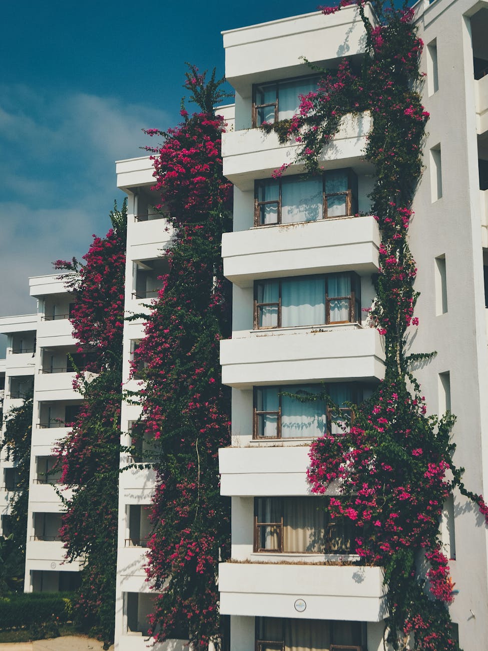 white painted building